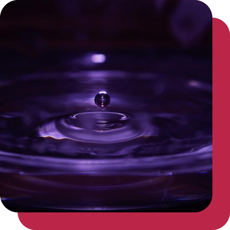 Qu'est-ce que l'hypersensibilité ?
